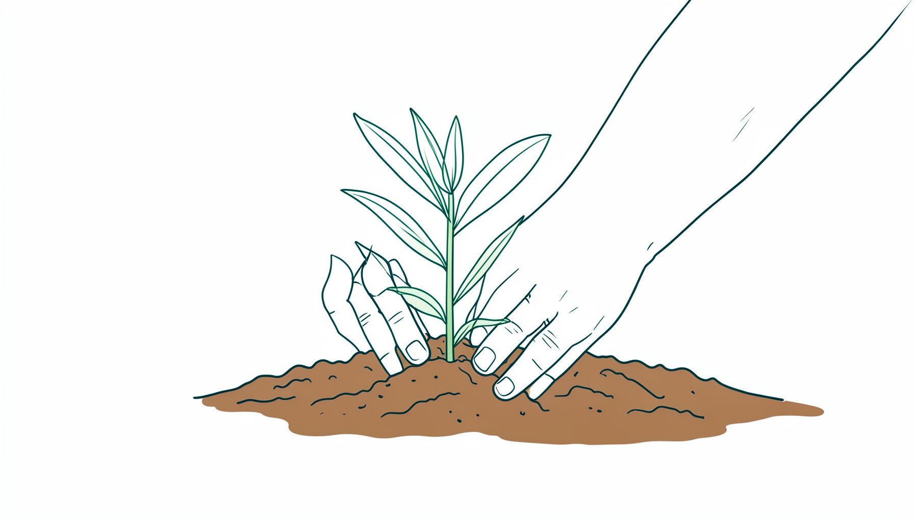 A minimal line drawing of hands planting a seedling in rich soil, with green leaves and warm brown earth tones